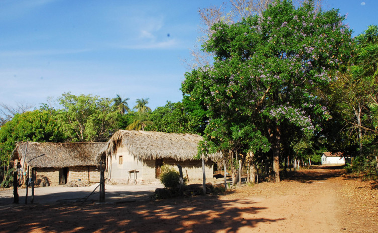 Conheça os pontos turísticos do Jalapão que só quem viaja com guia local conhece