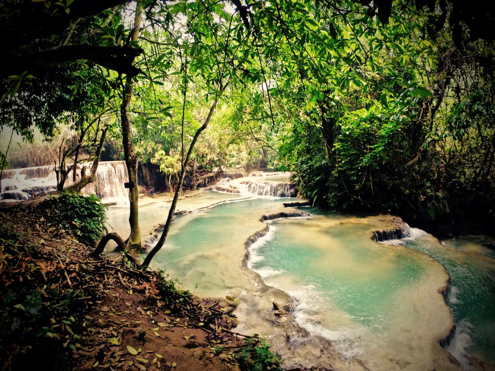 Conheça as principais curiosidades do parque estadual do Jalapão