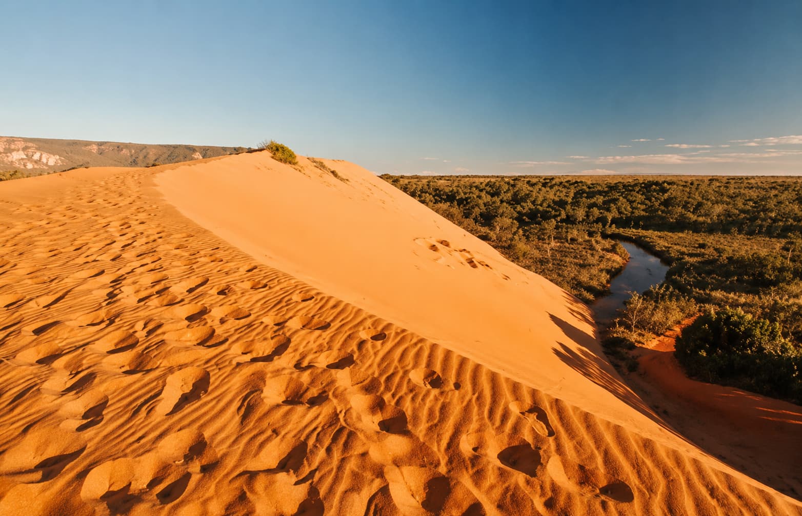 Melhor época para visitar as dunas do Jalapão e evitar multidões
